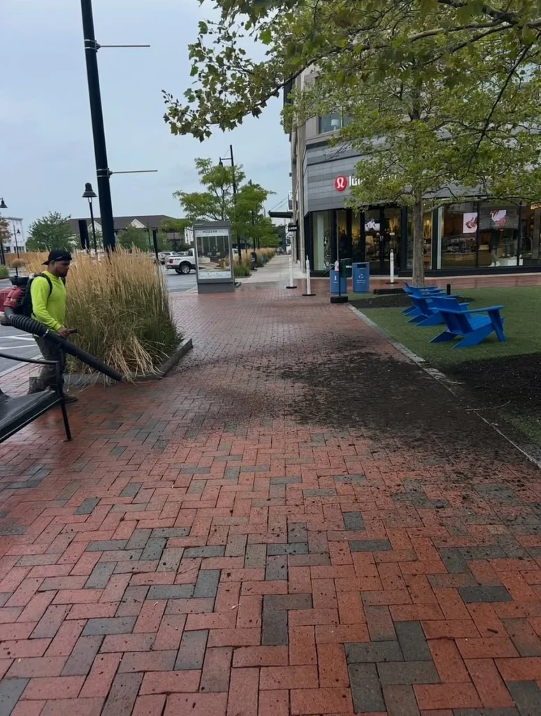 landscaping clean up work on Market Street Lynnfield, MA